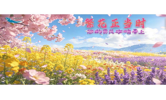 繁花正当时